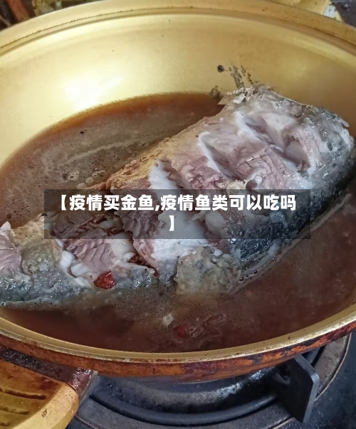 【疫情买金鱼,疫情鱼类可以吃吗】-第1张图片