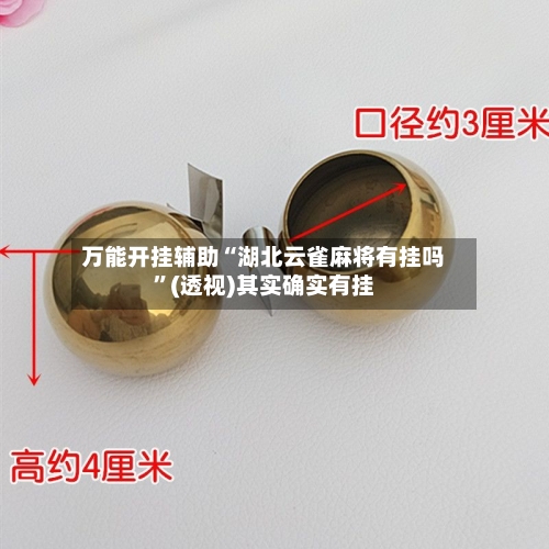 万能开挂辅助“湖北云雀麻将有挂吗	”(透视)其实确实有挂-第2张图片