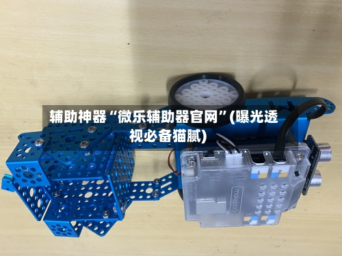 辅助神器“微乐辅助器官网”(曝光透视必备猫腻)-第1张图片