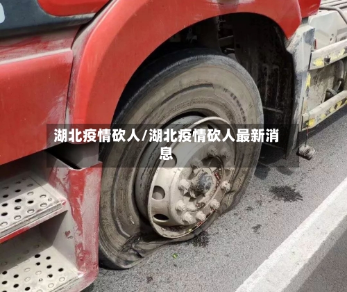 湖北疫情砍人/湖北疫情砍人最新消息-第2张图片