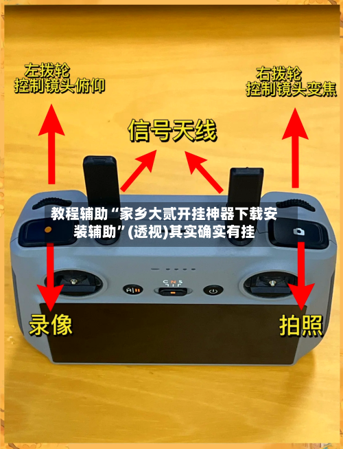 教程辅助“家乡大贰开挂神器下载安装辅助”(透视)其实确实有挂-第2张图片