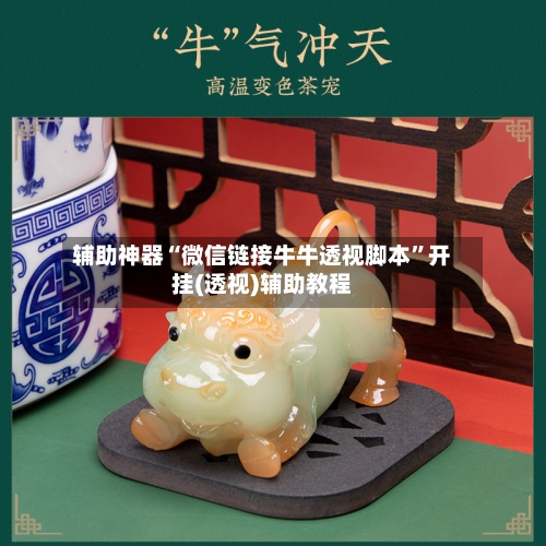 辅助神器“微信链接牛牛透视脚本”开挂(透视)辅助教程