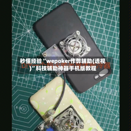 秒懂经验“wepoker作弊辅助(透视)”科技辅助神器手机版教程-第3张图片