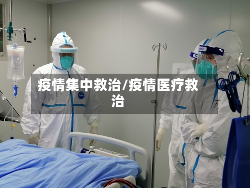 疫情集中救治/疫情医疗救治