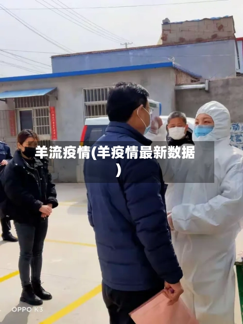 羊流疫情(羊疫情最新数据)-第3张图片