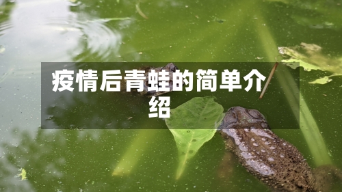 疫情后青蛙的简单介绍-第1张图片