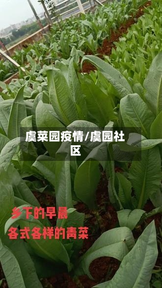 虞菜园疫情/虞园社区