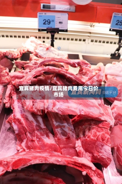 宜宾猪肉疫情/宜宾猪肉费用今日价市场-第1张图片