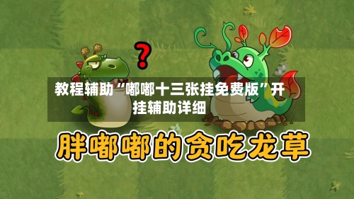 教程辅助“嘟嘟十三张挂免费版”开挂辅助详细-第1张图片