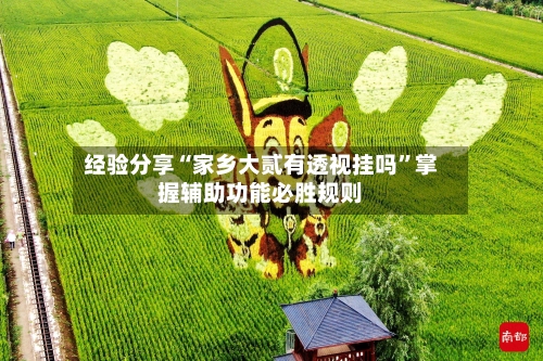 经验分享“家乡大贰有透视挂吗”掌握辅助功能必胜规则