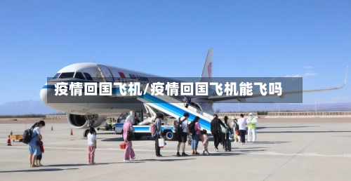疫情回国飞机/疫情回国飞机能飞吗-第1张图片