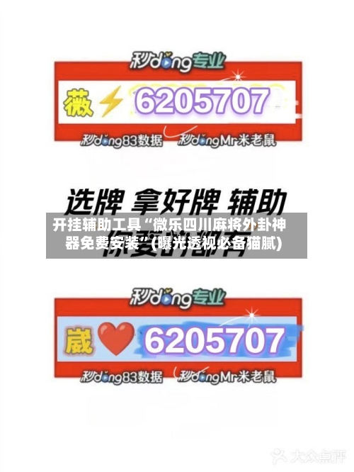 开挂辅助工具“微乐四川麻将外卦神器免费安装”(曝光透视必备猫腻)
