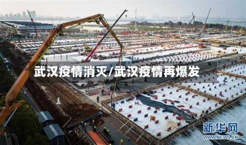 武汉疫情消灭/武汉疫情再爆发