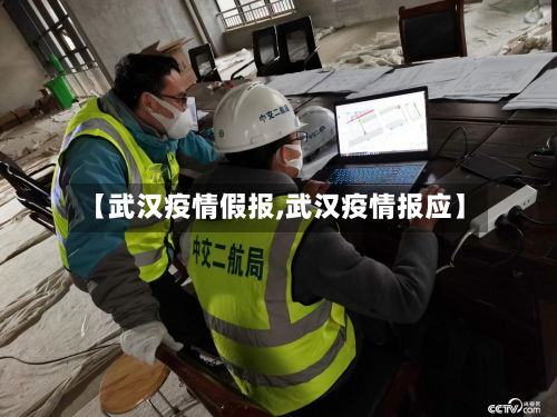 【武汉疫情假报,武汉疫情报应】