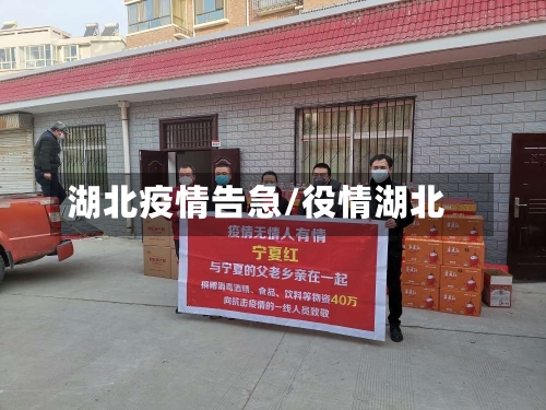 湖北疫情告急/役情湖北-第3张图片