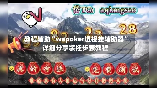 教程辅助“wepoker透视挂辅助器”详细分享装挂步骤教程-第2张图片