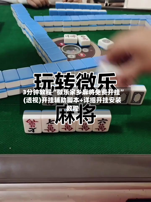3分钟教程“微乐家乡麻将免费开挂”(透视)开挂辅助脚本+详细开挂安装教程-第1张图片