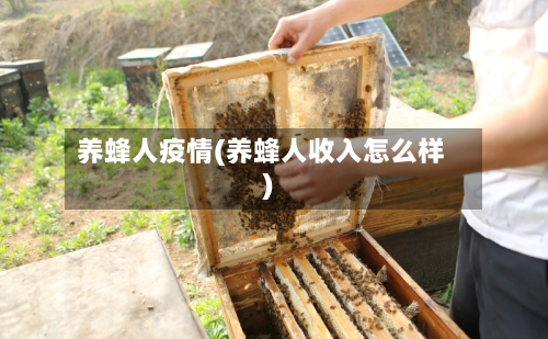 养蜂人疫情(养蜂人收入怎么样)