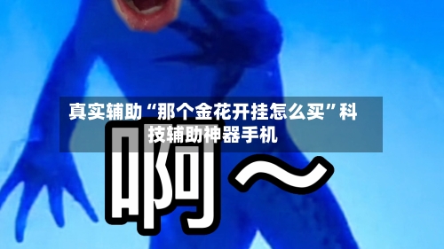 真实辅助“那个金花开挂怎么买”科技辅助神器手机