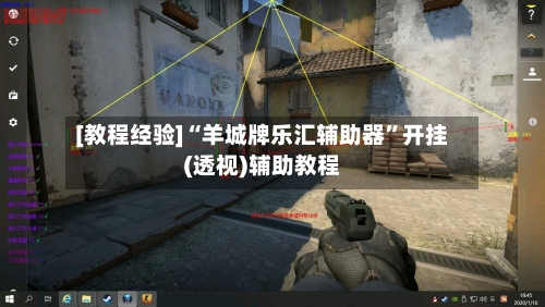 [教程经验]“羊城牌乐汇辅助器	”开挂(透视)辅助教程-第1张图片