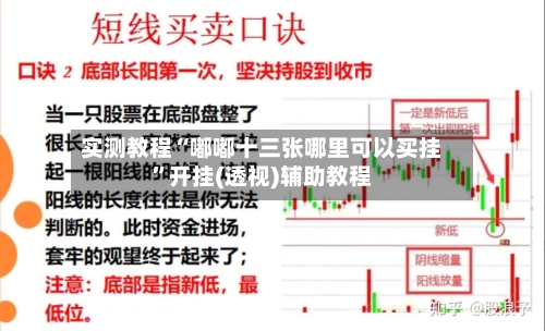 实测教程“嘟嘟十三张哪里可以买挂”开挂(透视)辅助教程-第2张图片