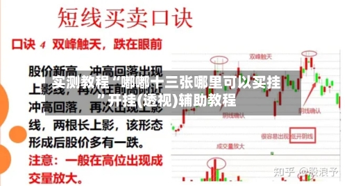 实测教程“嘟嘟十三张哪里可以买挂”开挂(透视)辅助教程-第3张图片