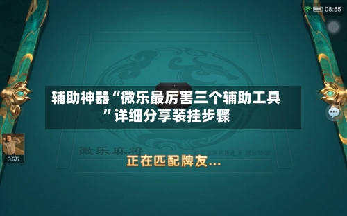辅助神器“微乐最厉害三个辅助工具”详细分享装挂步骤-第2张图片