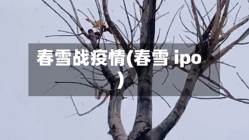 春雪战疫情(春雪 ipo)