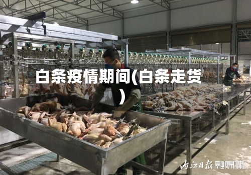 白条疫情期间(白条走货)