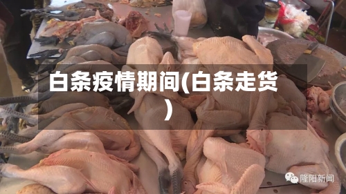 白条疫情期间(白条走货)-第2张图片