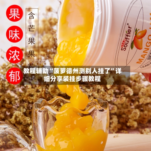 教程辅助“菠萝德州测别人挂了”详细分享装挂步骤教程-第3张图片