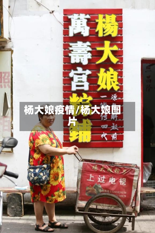 杨大娘疫情/杨大娘图片