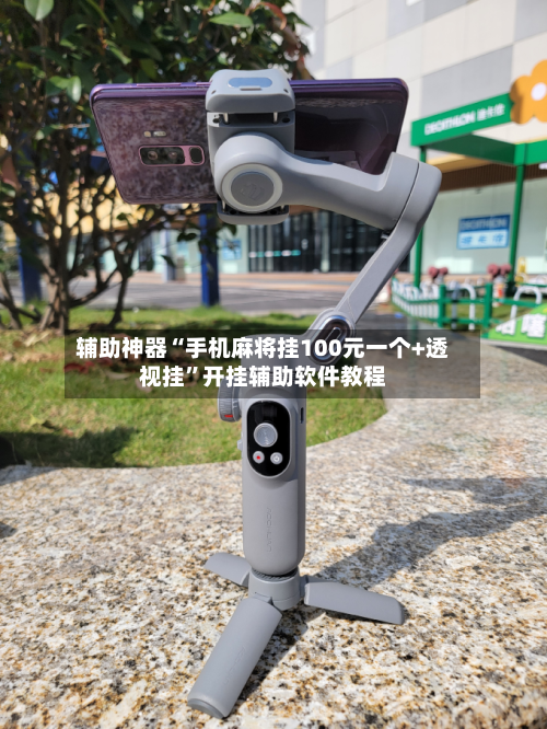 辅助神器“手机麻将挂100元一个+透视挂”开挂辅助软件教程-第1张图片