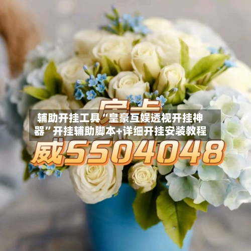 辅助开挂工具“皇豪互娱透视开挂神器”开挂辅助脚本+详细开挂安装教程-第1张图片