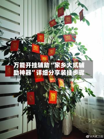 万能开挂辅助“家乡大贰辅助神器”详细分享装挂步骤