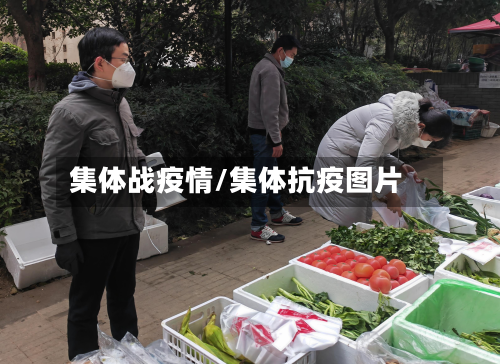 集体战疫情/集体抗疫图片-第2张图片