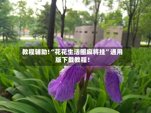 教程辅助!“花花生活圈麻将挂”通用版下载教程！-第2张图片