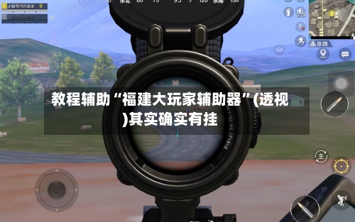 教程辅助“福建大玩家辅助器”(透视)其实确实有挂