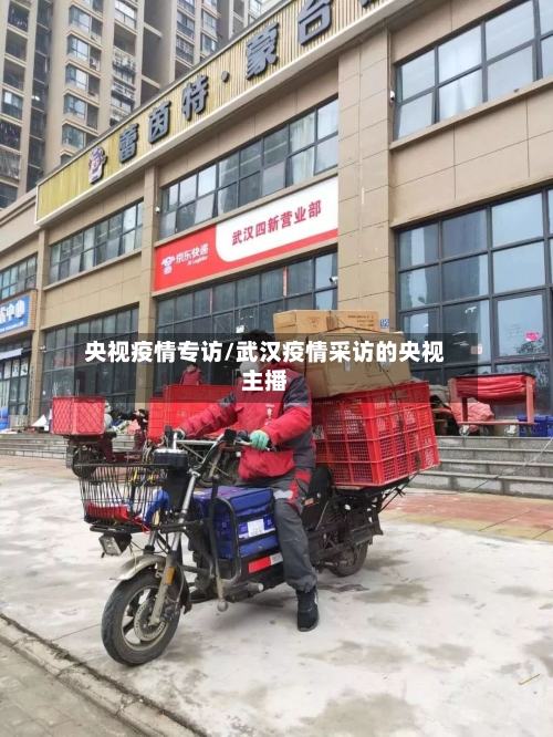 央视疫情专访/武汉疫情采访的央视主播