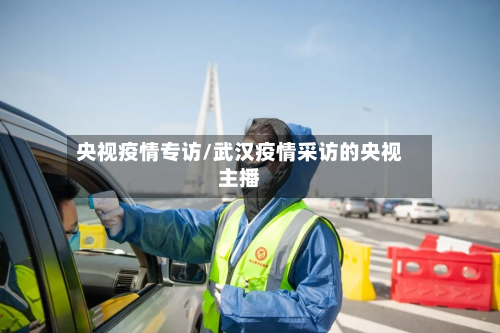 央视疫情专访/武汉疫情采访的央视主播-第3张图片