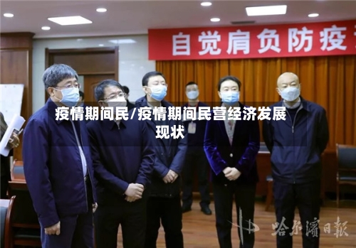 疫情期间民/疫情期间民营经济发展现状