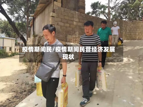 疫情期间民/疫情期间民营经济发展现状-第3张图片