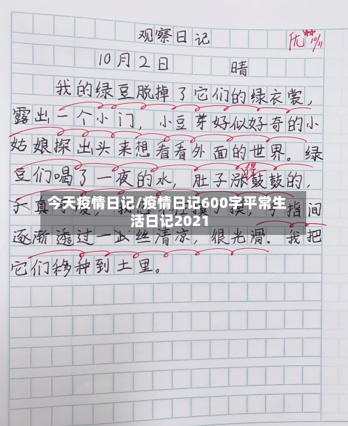 今天疫情日记/疫情日记600字平常生活日记2021-第1张图片