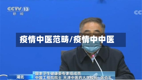 疫情中医范畴/疫情中中医-第3张图片