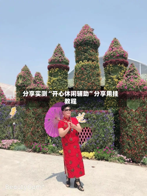 分享实测“开心休闲辅助”分享用挂教程