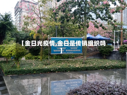 【金日光疫情,金日是传销组织吗】-第2张图片