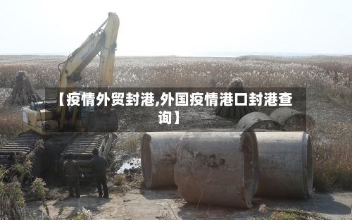 【疫情外贸封港,外国疫情港口封港查询】