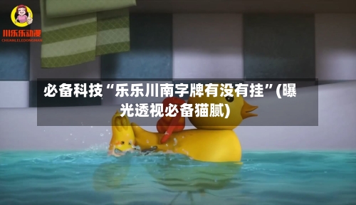 必备科技“乐乐川南字牌有没有挂”(曝光透视必备猫腻)