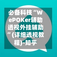 必备科技“WePOKer辅助透视外挂辅助”(详细透视教程)-知乎-第2张图片