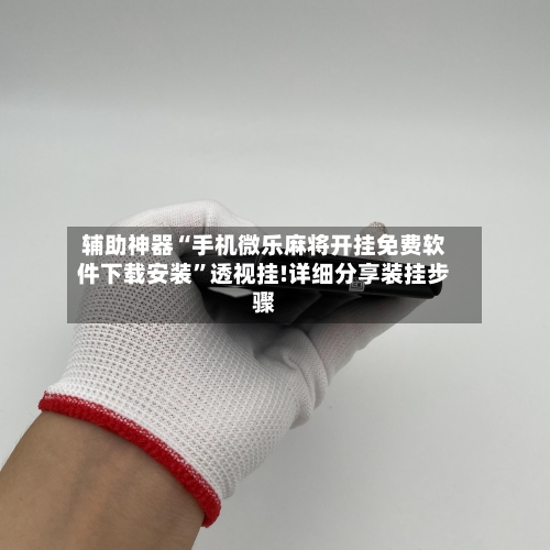 辅助神器“手机微乐麻将开挂免费软件下载安装”透视挂!详细分享装挂步骤-第3张图片